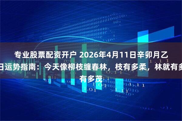专业股票配资开户 2026年4月11日辛卯月乙卯日运势指南:今天像柳枝缠春林,枝有多柔,林就有多茂